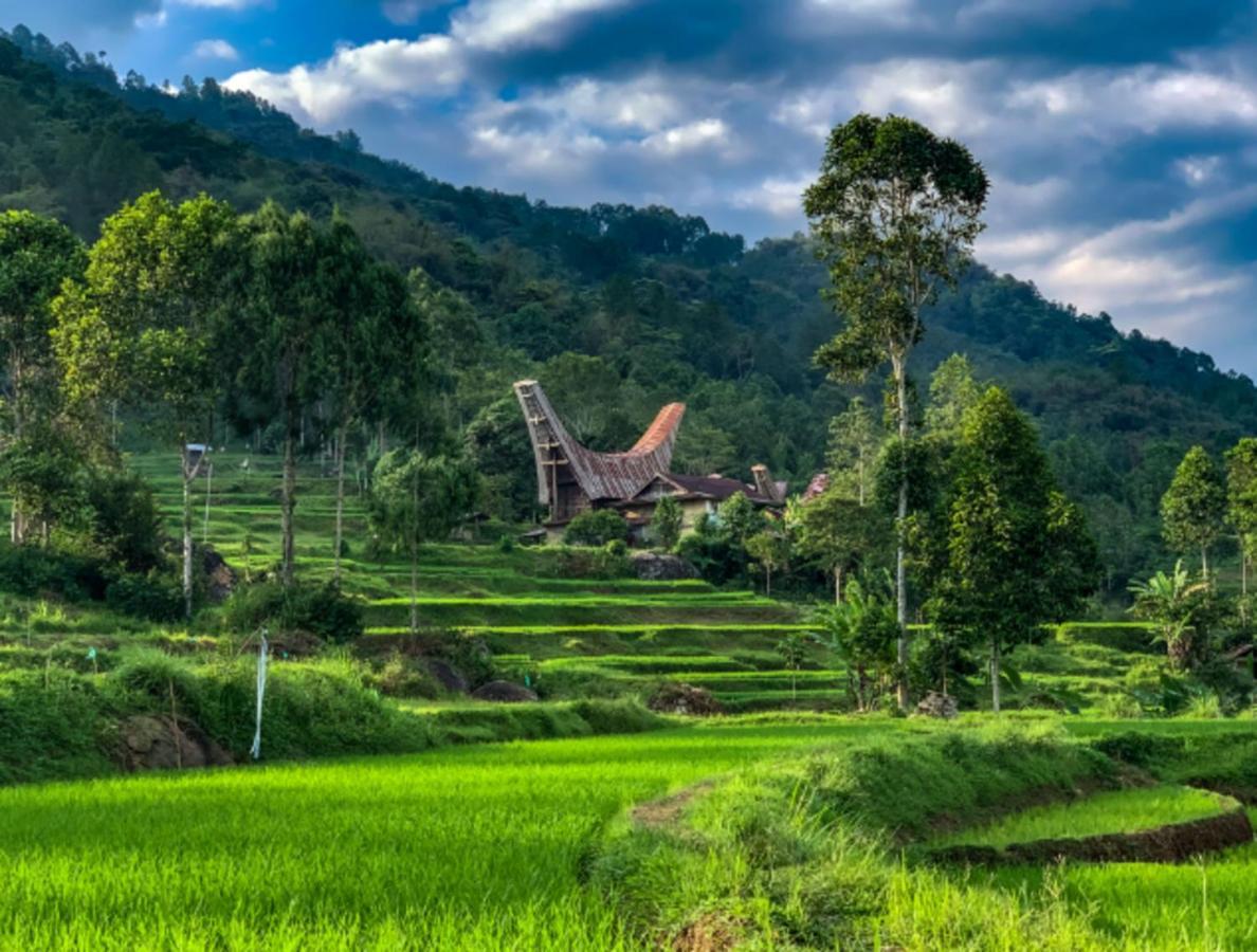 Готель Santai Toraja Рантепао Екстер'єр фото